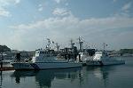 Dcim3515/DSC_5703