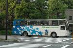 Dcim3523/DSC_6256