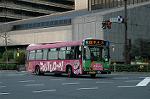 Dcim3523/DSC_6262