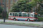 Dcim3523/DSC_6265
