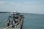 Dcim3526/DSC_6335
