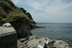 Dcim3527/DSC_6401