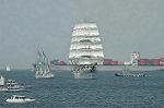 Dcim3529/DSC_6570