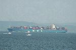 Dcim3529/DSC_6601