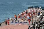 Dcim3537/DSC_7247