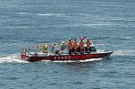 Dcim3538/DSC_7308