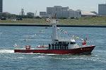 Dcim3538/DSC_7335