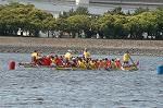 Dcim3542/DSC_7791