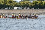 Dcim3543/DSC_0745