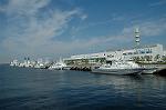 Dcim3547/DSC_8166