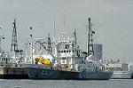 Dcim3548/DSC_0822