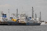 Dcim3550/DSC_4328