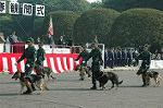 Dcim3563/DSC_9027