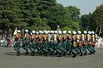 Dcim3564/DSC_9078
