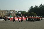 Dcim3564/DSC_9083