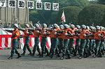 Dcim3564/DSC_9085