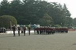 Dcim3564/DSC_9093