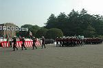 Dcim3564/DSC_9094