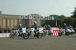 Dcim3564/DSC_9105