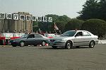 Dcim3564/DSC_9125