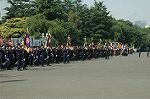 Dcim3565/DSC_9305