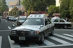 Dcim3566/DSC_1128
