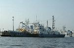 Dcim3572/DSC_1431