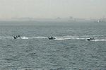 Dcim3577/DSC_0015