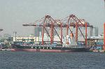 Dcim3581/DSC_1584