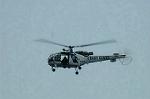 Dcim3603/DSC_1275