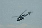 Dcim3604/DSC_1335
