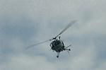 Dcim3604/DSC_1356