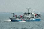 Dcim3604/DSC_1446