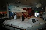 Dcim3608/DSC_1883