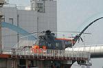 Dcim3611/DSC_2321