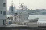 Dcim3611/DSC_2328
