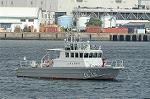 Dcim3611/DSC_2355
