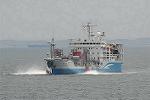Dcim3615/DSC_5315