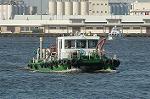 Dcim3626/DSC_3118