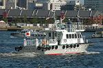Dcim3627/DSC_3164