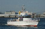 Dcim3627/DSC_3196