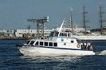 Dcim3627/DSC_3223