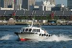 Dcim3627/DSC_3238