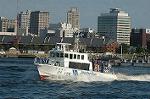 Dcim3628/DSC_3273