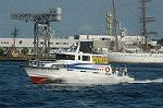 Dcim3628/DSC_3304
