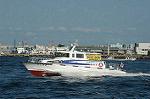 Dcim3628/DSC_3306