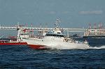 Dcim3628/DSC_3333