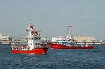 Dcim3628/DSC_3371