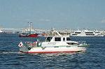 Dcim3629/DSC_2988