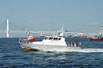 Dcim3629/DSC_3006